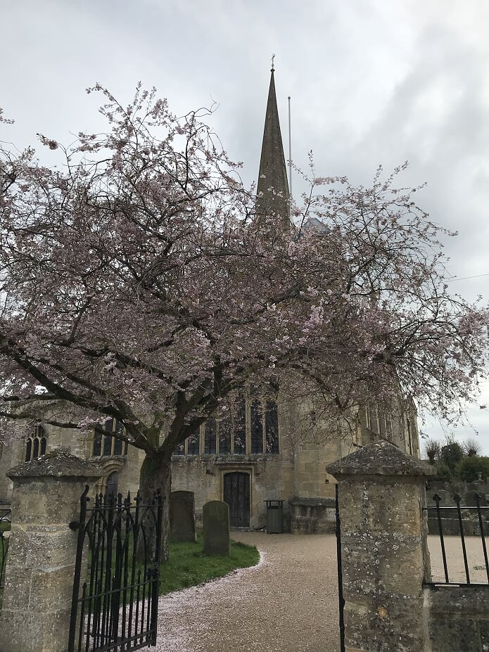 桜とバーフォードの教会