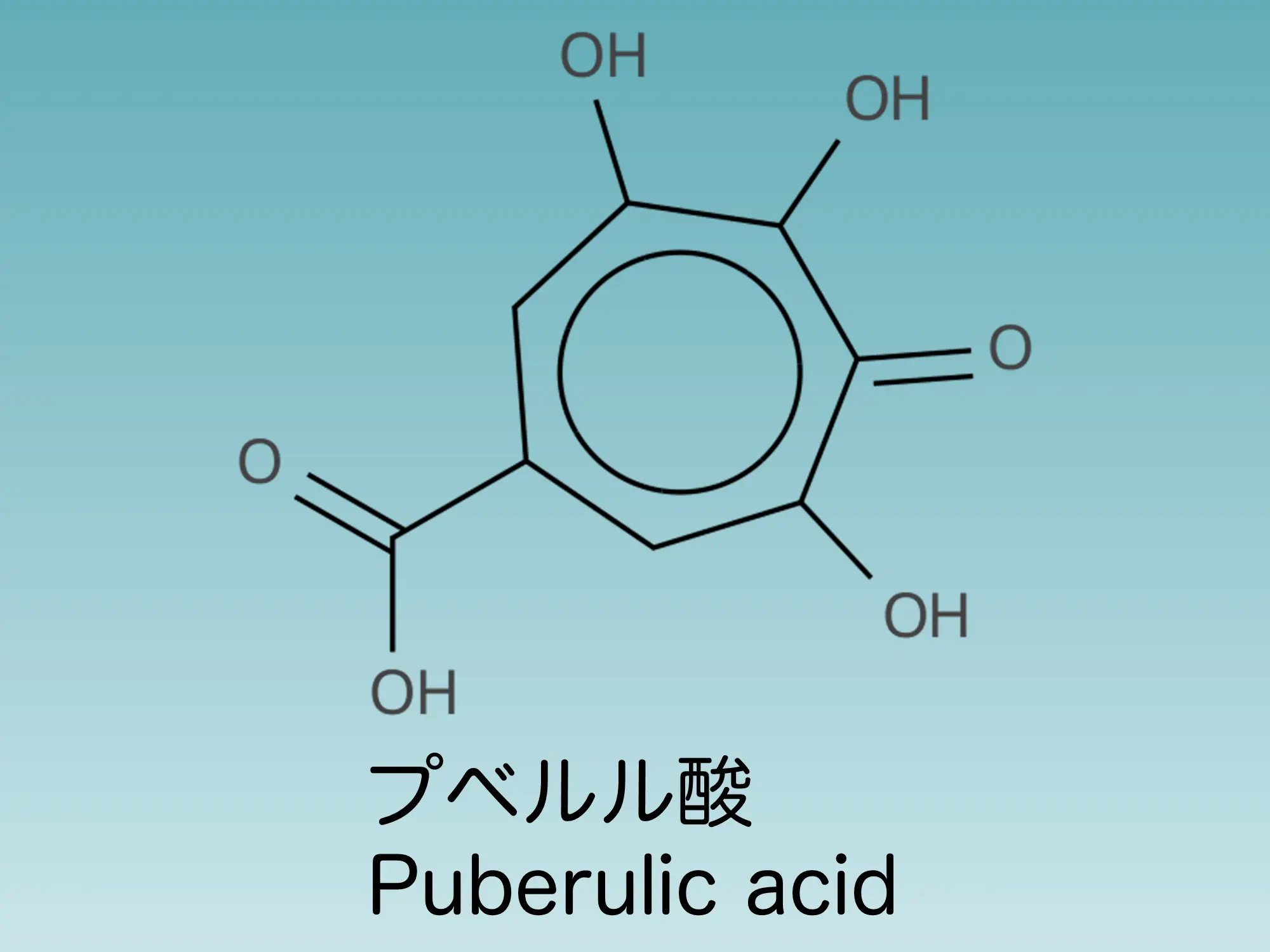 プベルル酸 | 直ちゃんの部屋 in Tokyo