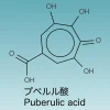 プベルル酸の化学構造式・物性などについて解説